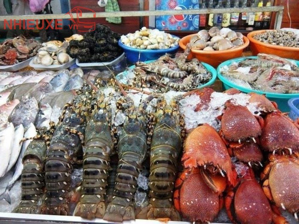 Thuê xe đi Long Hải, Bà Rịa